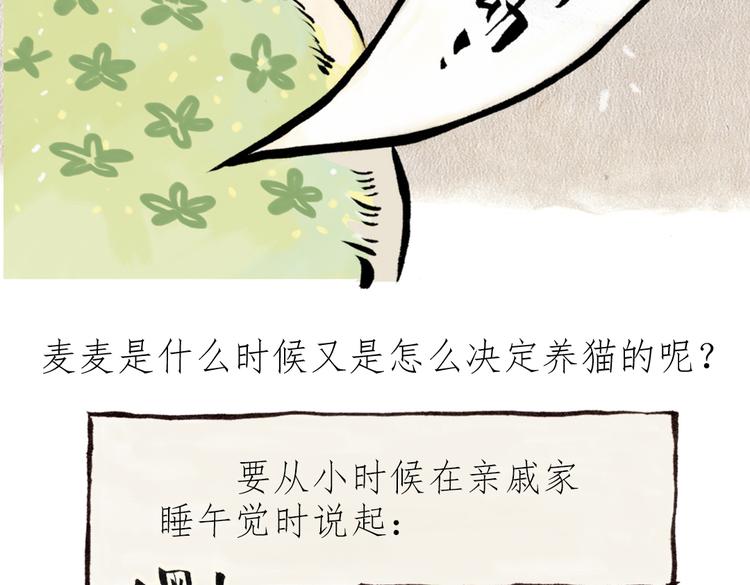 番外 麦麦是猫奴-第43话