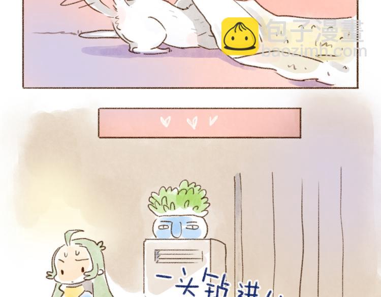 猫的超能力！-第45话