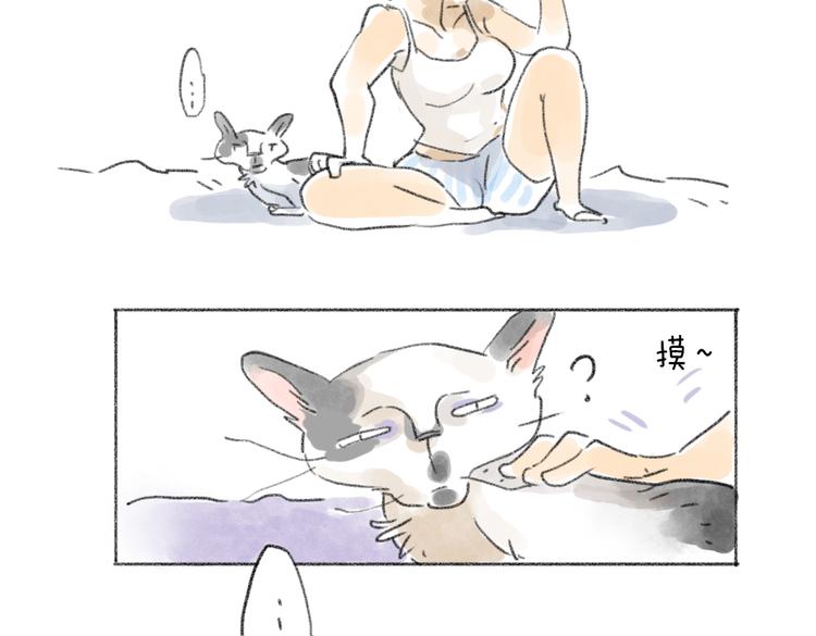 先赞一下再吐槽-第51话