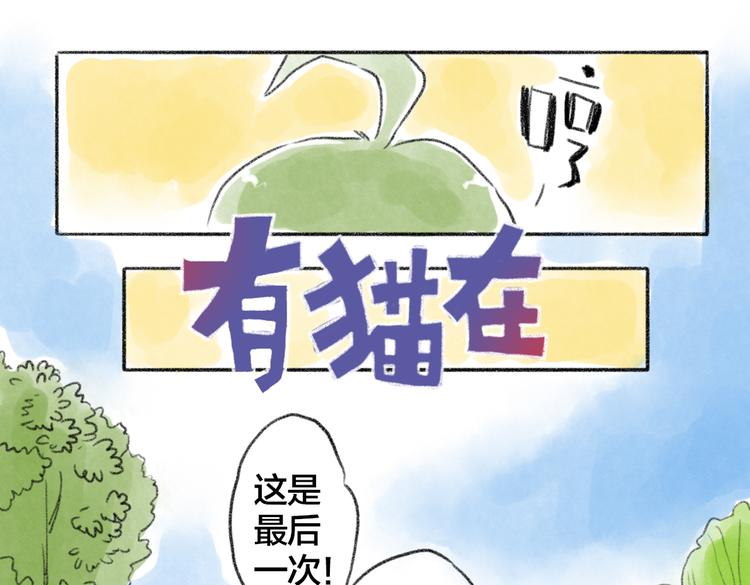 我家猫不喜欢我和你厮混-第53话