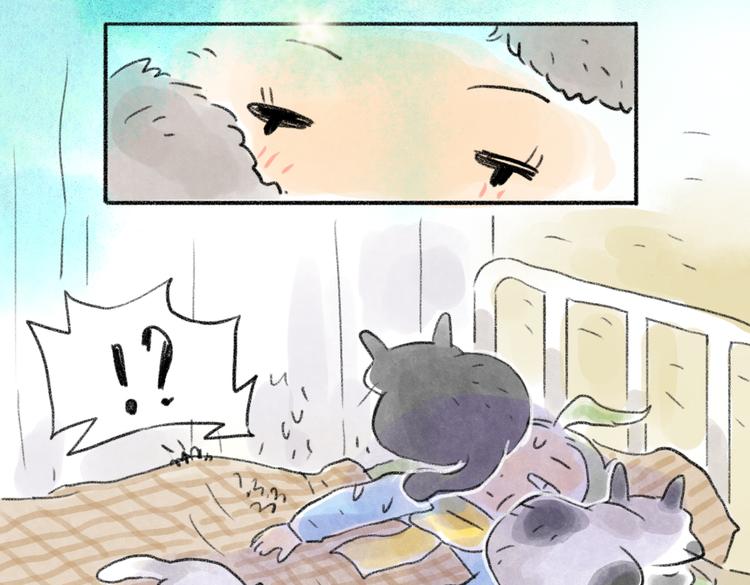 实在受不了三只猫-第57话