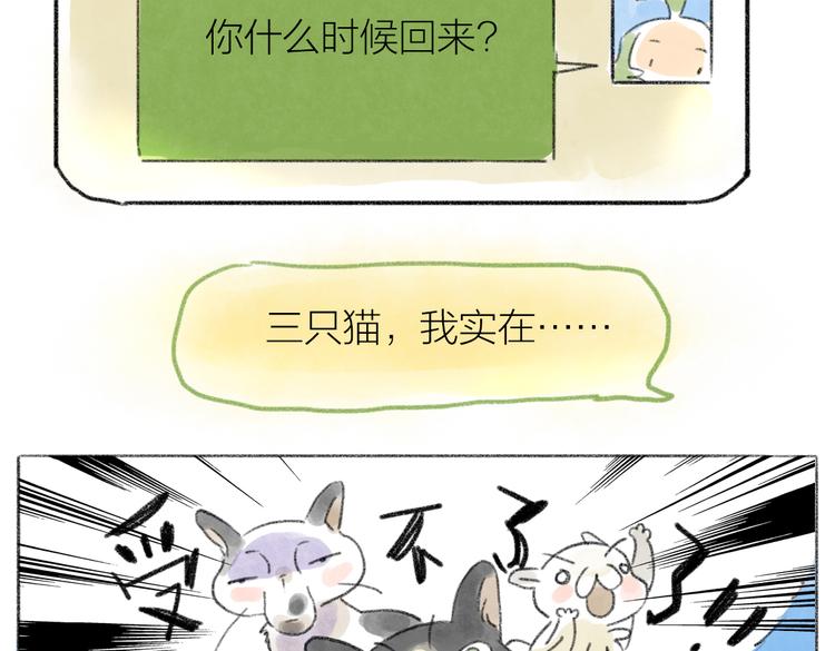 实在受不了三只猫-第57话