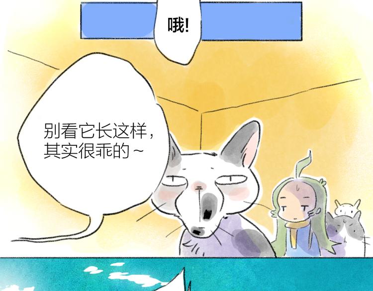 实在受不了三只猫-第57话