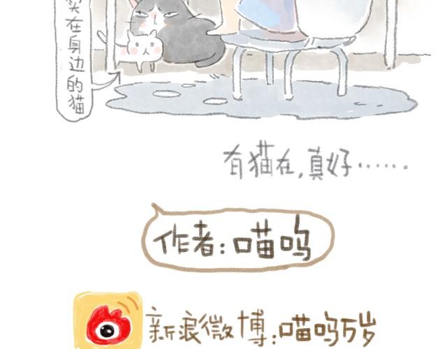 猫可以治愈一切-第7话