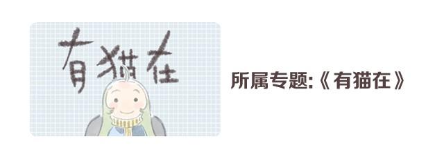 猫可以治愈一切-第7话