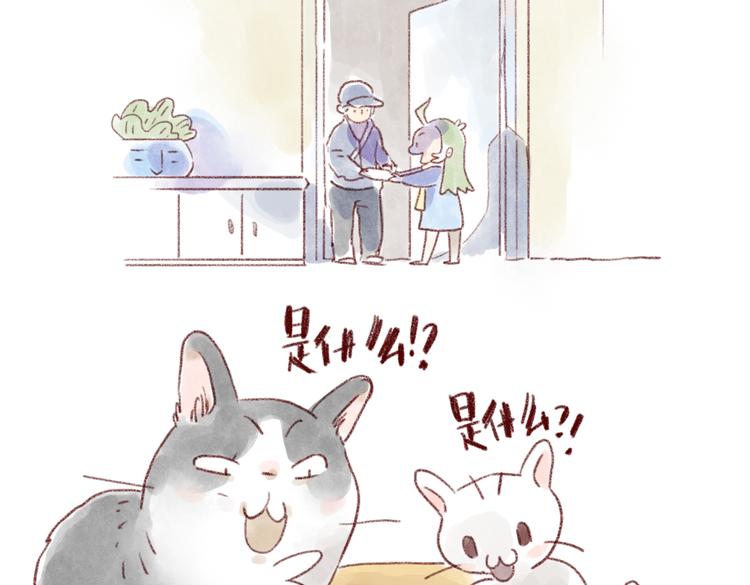 毯子爱好者-第65话