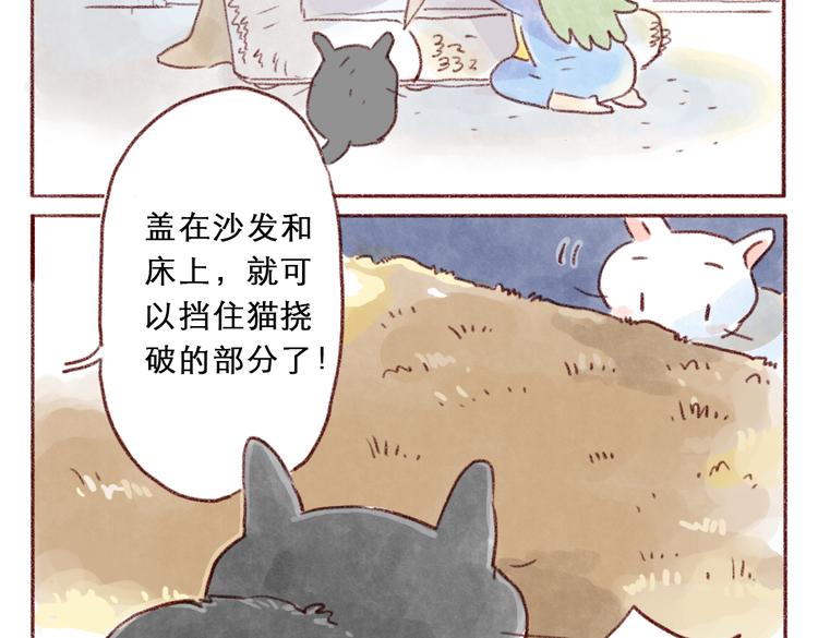 毯子爱好者-第65话