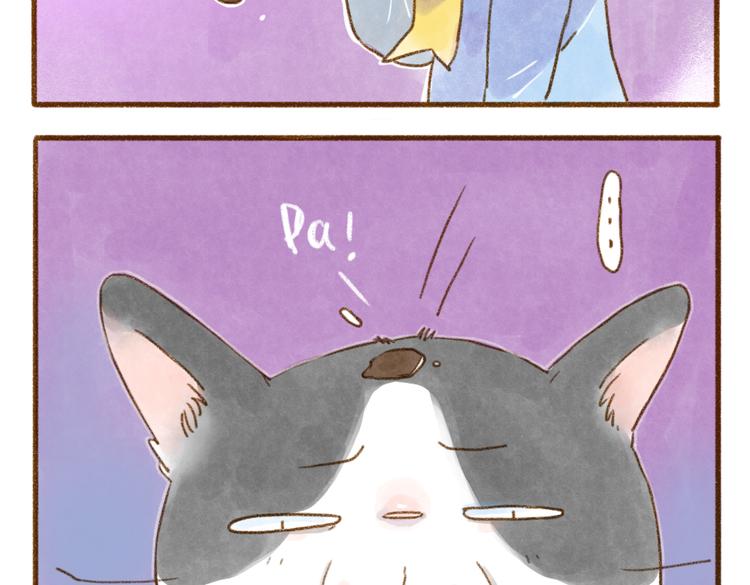 猫咪变脏的原因-第71话