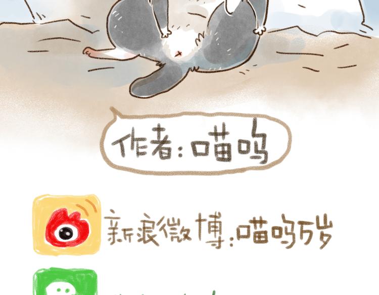 什么样的主人什么样的猫~-第75话