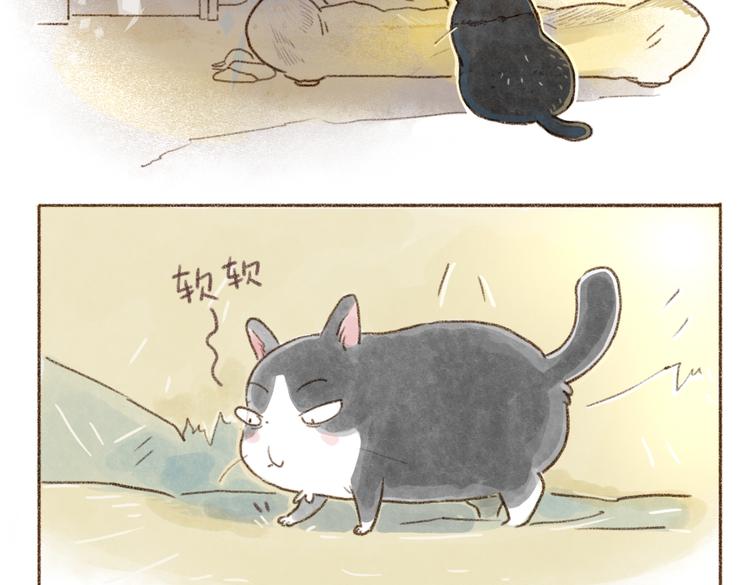什么样的主人什么样的猫~-第75话