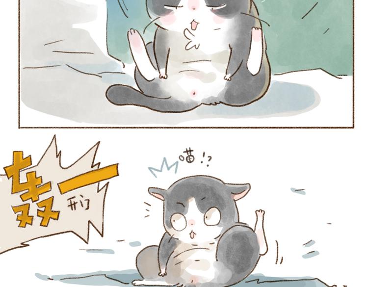 什么样的主人什么样的猫~-第75话