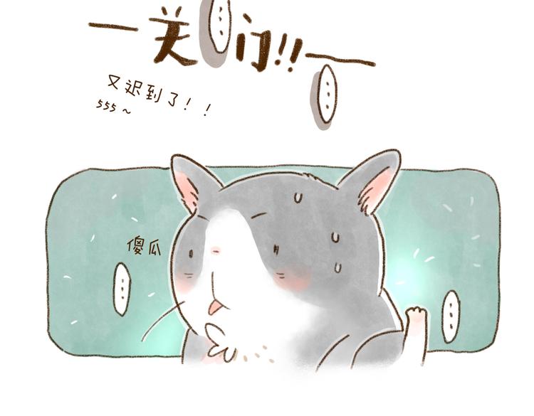 什么样的主人什么样的猫~-第75话