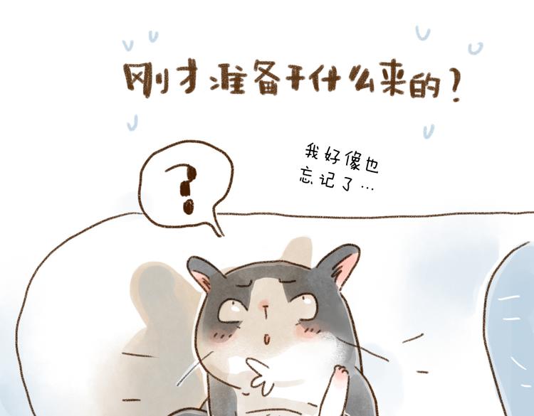 什么样的主人什么样的猫~-第75话
