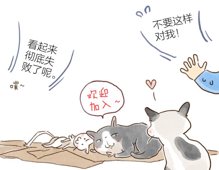 省吃俭用的结果-第77话