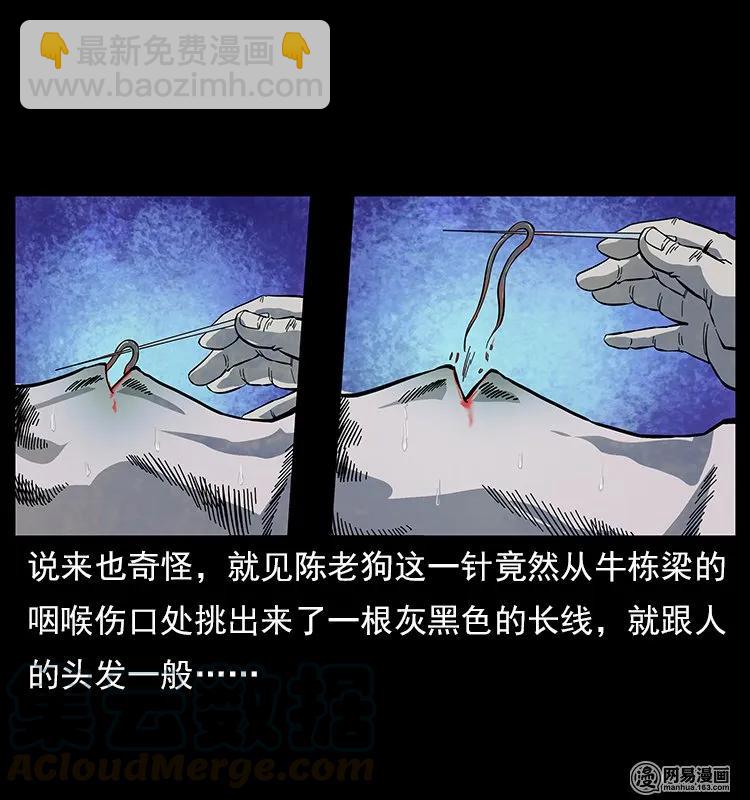 幽冥詭匠 - 119 殃(2/2) - 5