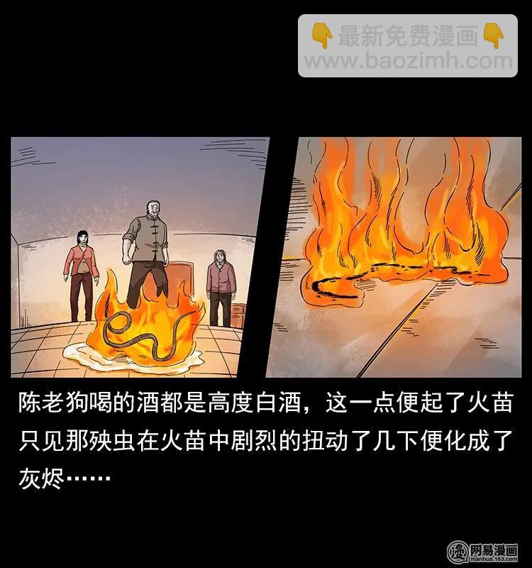 幽冥詭匠 - 119 殃(2/2) - 3