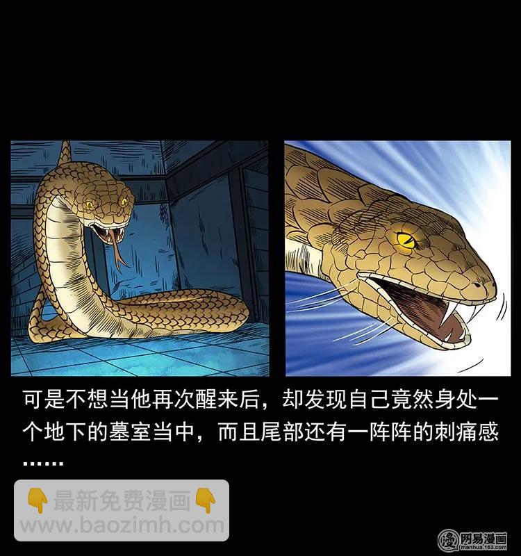 幽冥詭匠 - 139 巨獸兇蟒(2/2) - 2