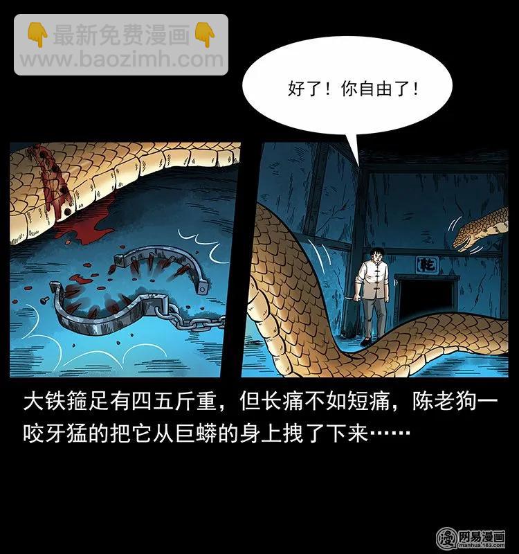 幽冥詭匠 - 139 巨獸兇蟒(2/2) - 7