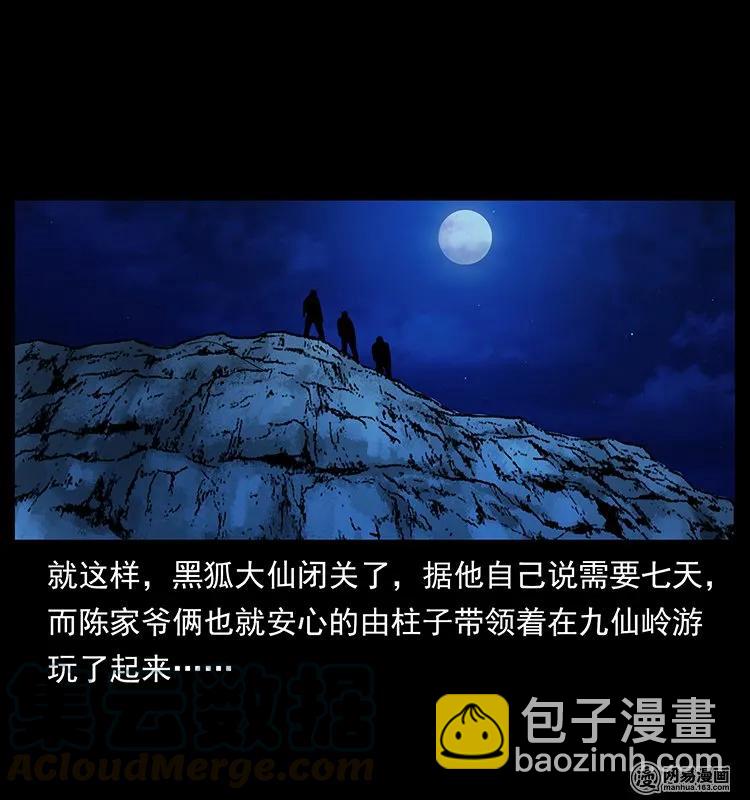 幽冥詭匠 - 143 出馬黑狐(2/2) - 7