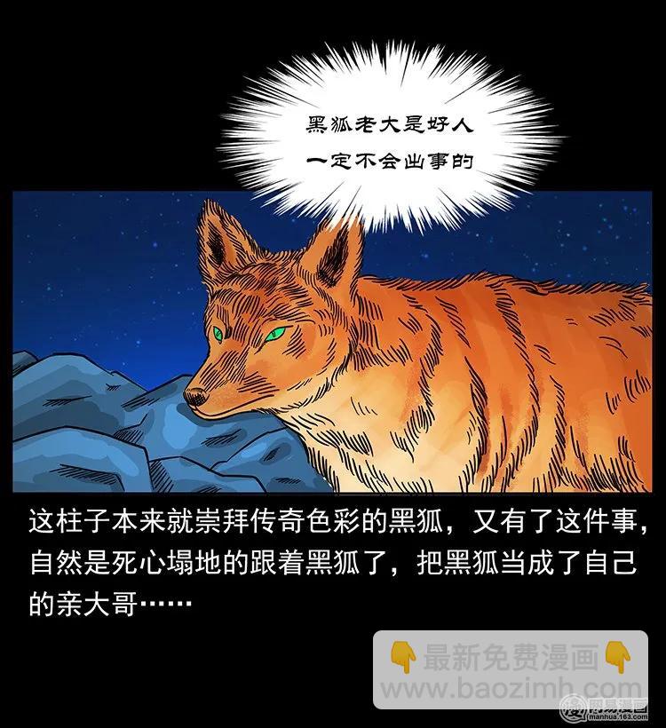 幽冥詭匠 - 143 出馬黑狐(2/2) - 7