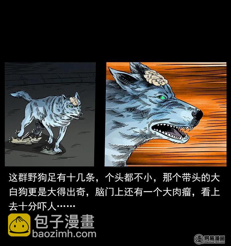 幽冥詭匠 - 151 京西燒骨塔（下）(2/2) - 6