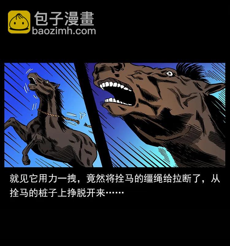 幽冥詭匠 - 157 妖駒馱屍(1/2) - 4