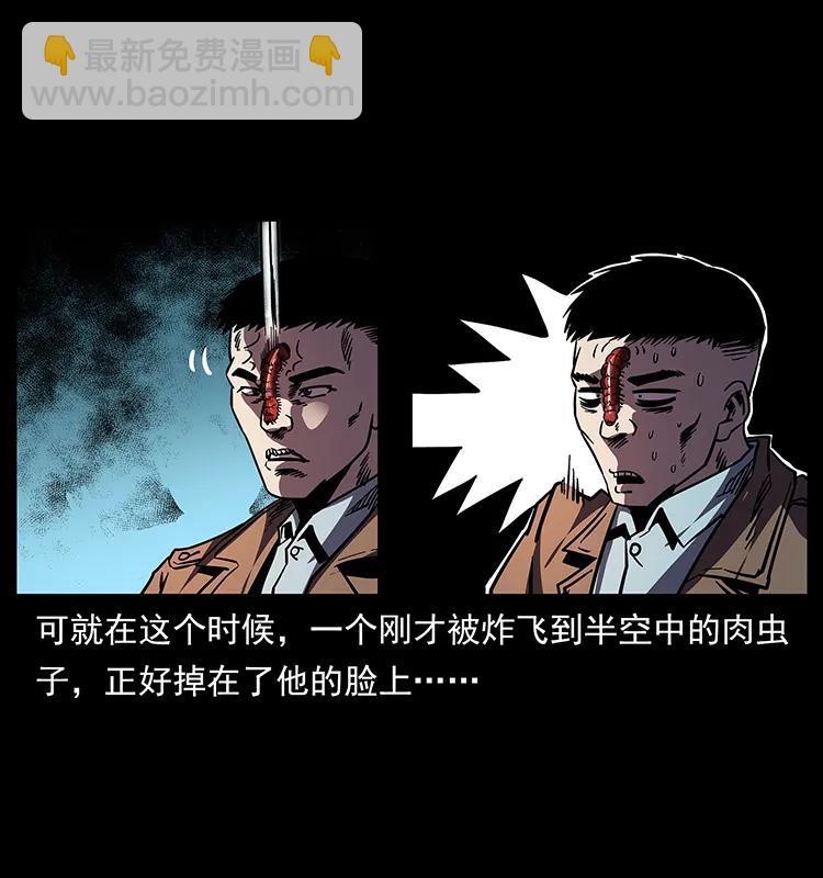 幽冥詭匠 - 161 蟲佛(2/2) - 1