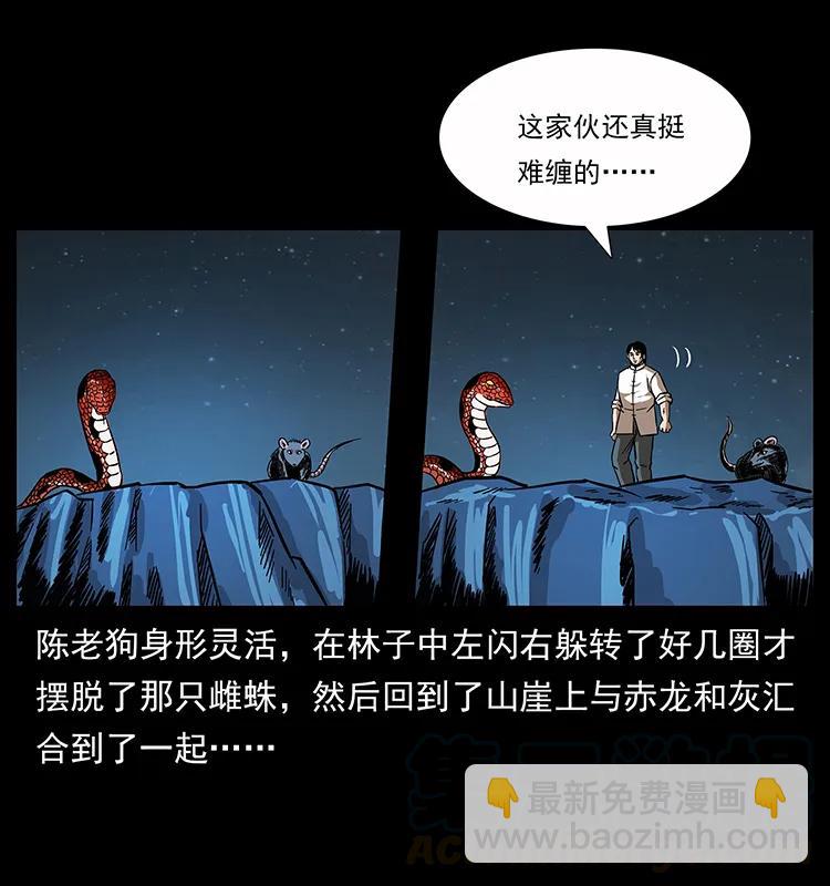 幽冥詭匠 - 163 陳老狗下南疆(1/2) - 5