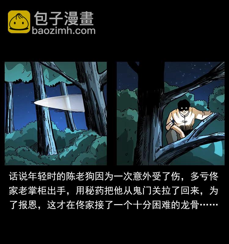 幽冥詭匠 - 163 陳老狗下南疆(1/2) - 3