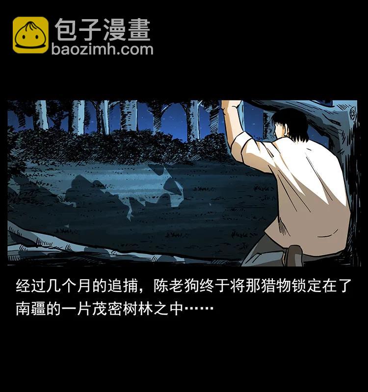 幽冥詭匠 - 163 陳老狗下南疆(1/2) - 4