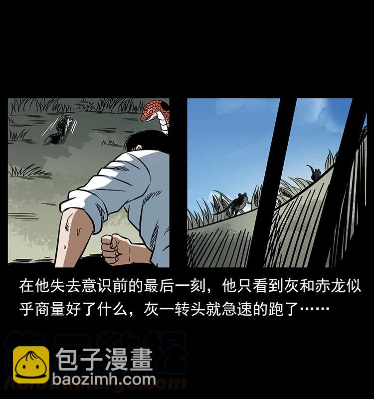 幽冥詭匠 - 167 陳老狗遇險(1/2) - 5