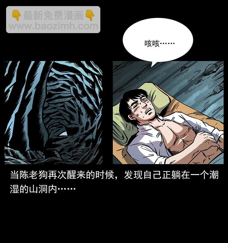 幽冥詭匠 - 167 陳老狗遇險(2/2) - 6