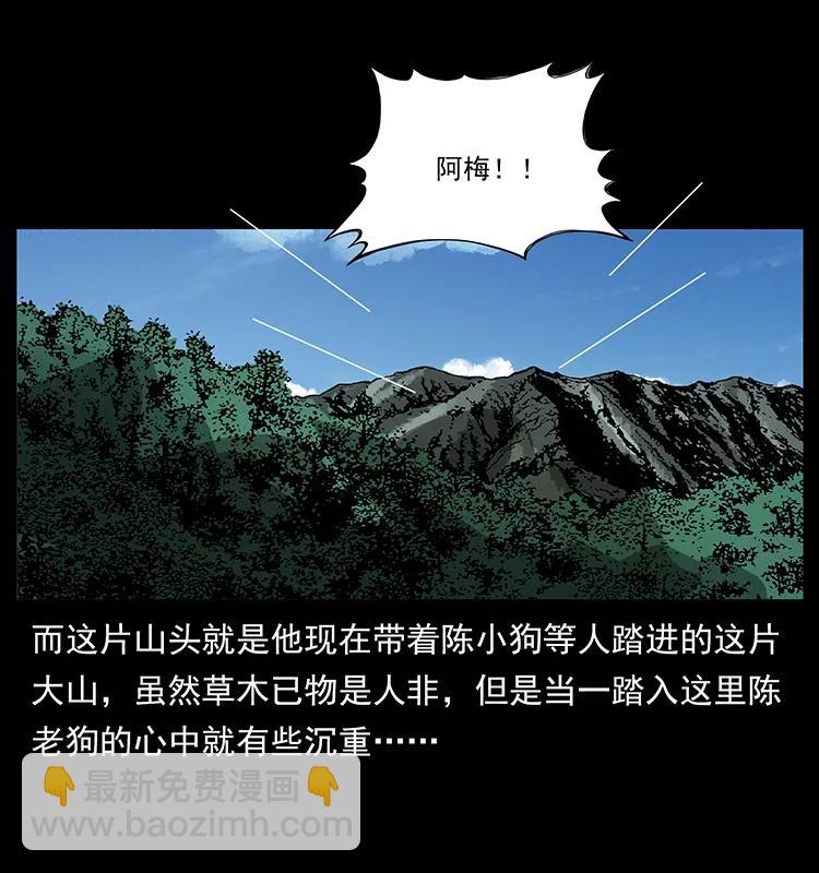 幽冥詭匠 - 167 陳老狗遇險(2/2) - 2