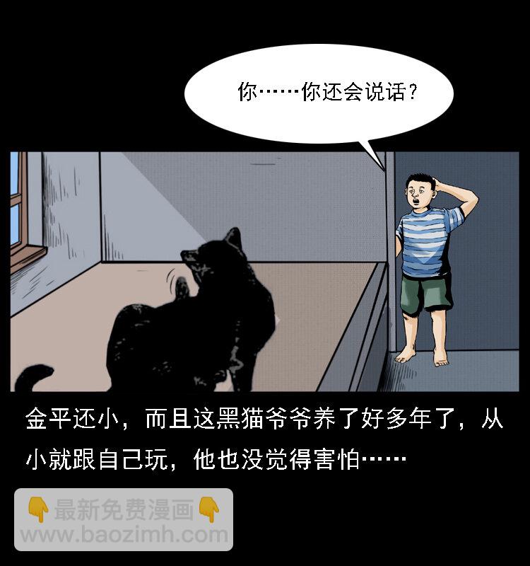 幽冥诡匠 - 003 赵家的猫(1/2) - 6