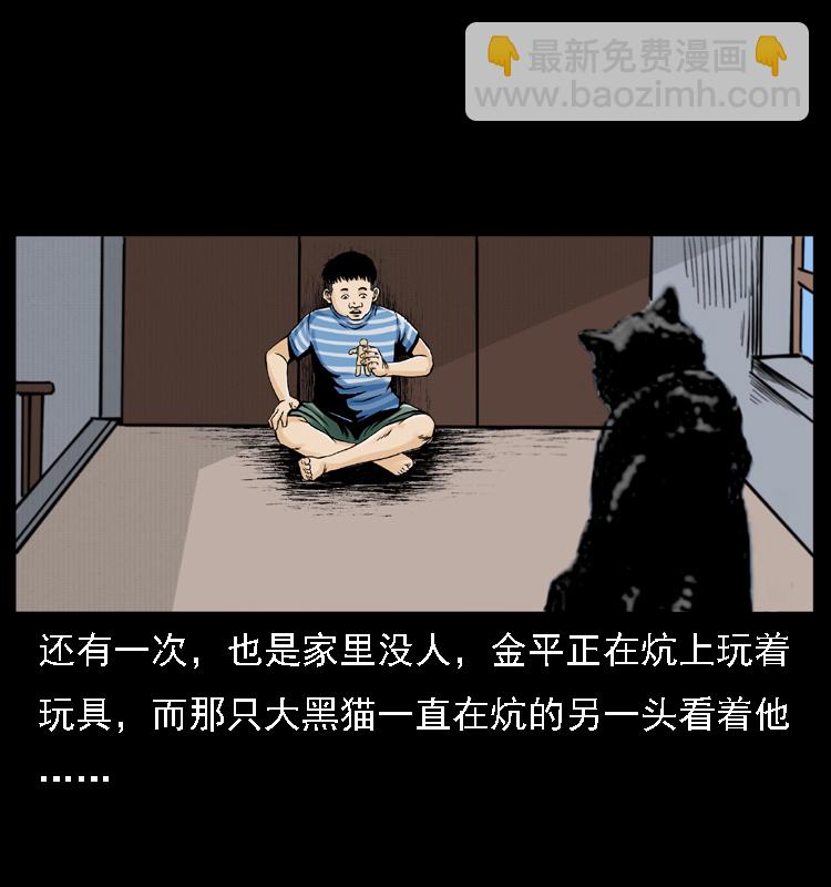 幽冥詭匠 - 003 趙家的貓(1/2) - 1
