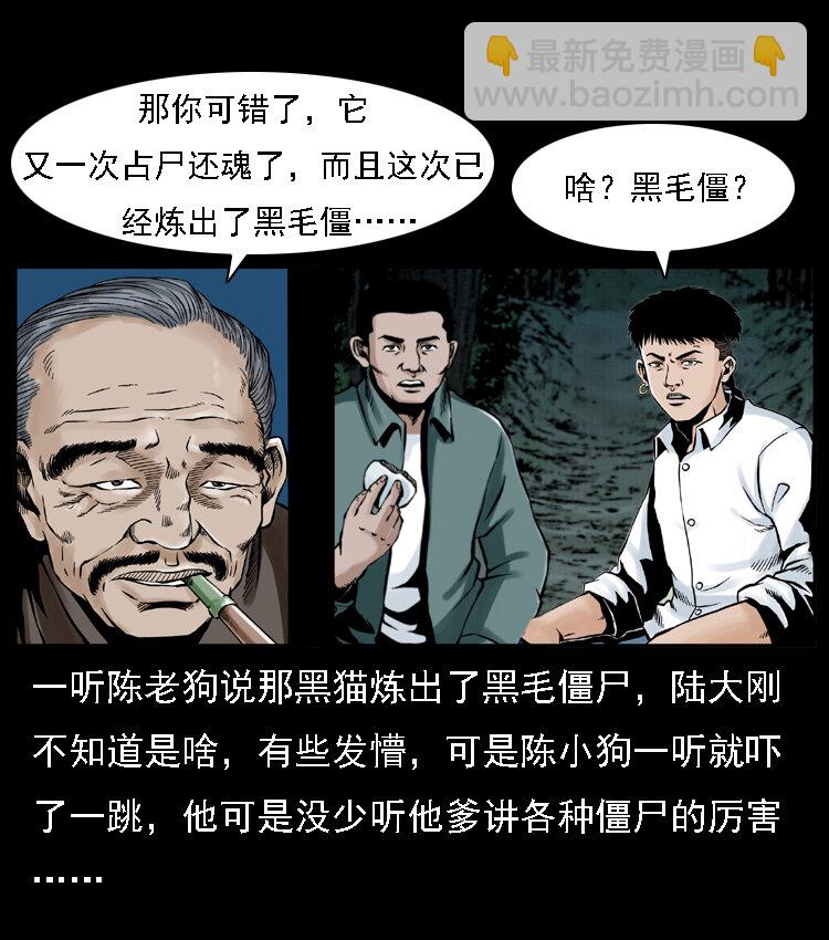 幽冥詭匠 - 003 趙家的貓(2/2) - 1