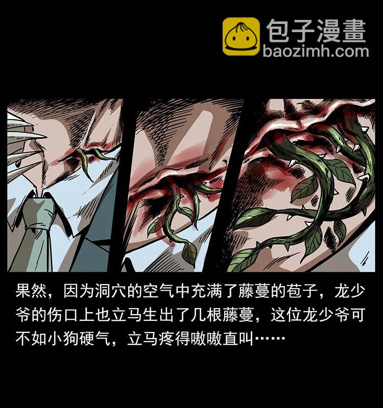 幽冥詭匠 - 193 草蠱婆(1/2) - 3