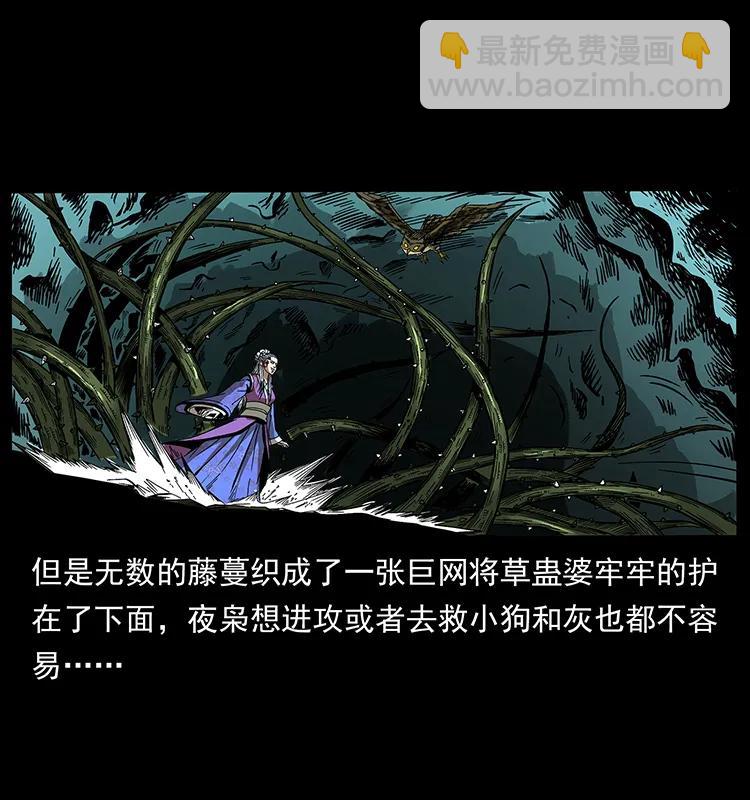 幽冥詭匠 - 193 草蠱婆(2/2) - 5