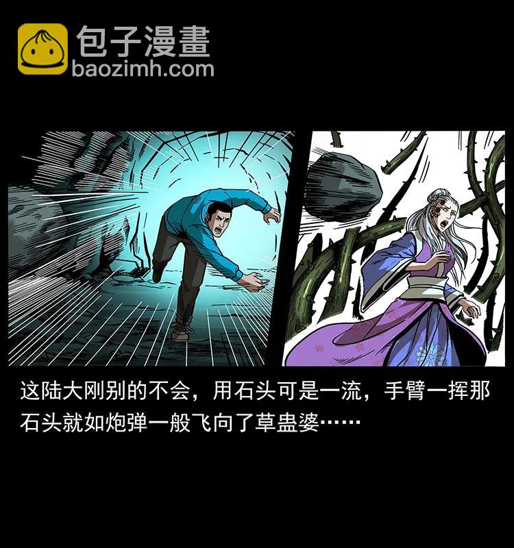 幽冥詭匠 - 193 草蠱婆(2/2) - 4
