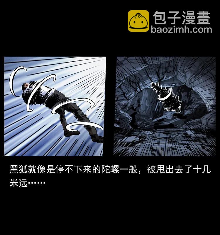 幽冥詭匠 - 199 黑狐不好惹(1/2) - 3