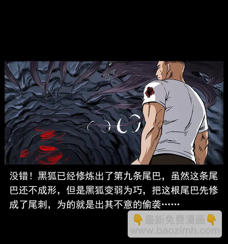 幽冥詭匠 - 199 黑狐不好惹(2/2) - 5