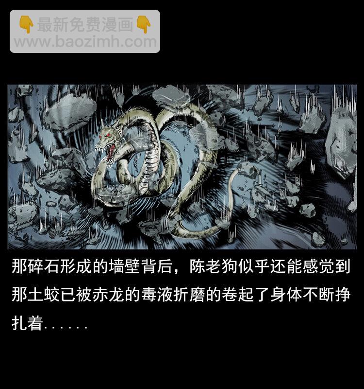 幽冥詭匠 - 023 守墓妖靈(2/2) - 4