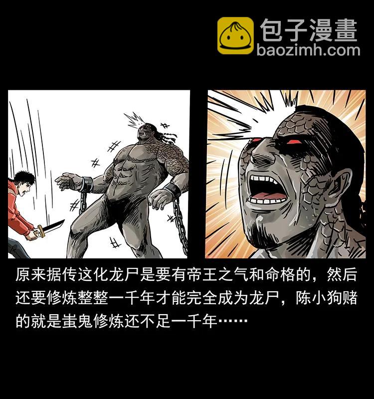 幽冥詭匠 - 219 蚩龍擡棺(2/2) - 5