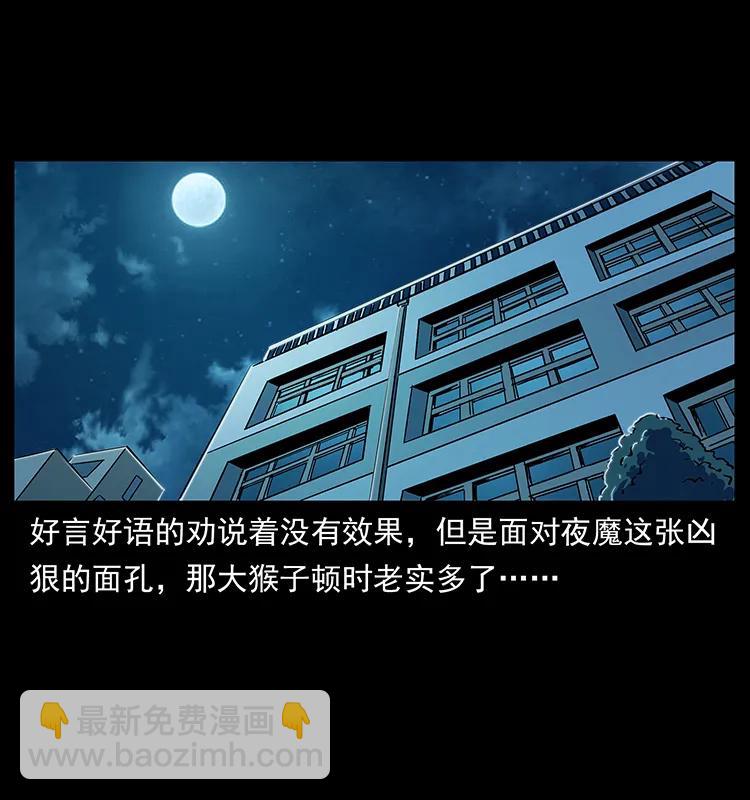 幽冥詭匠 - 229 東海龍骨(1/2) - 6