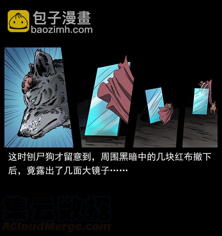 幽冥詭匠 - 251 刨屍狗遇險(2/2) - 6