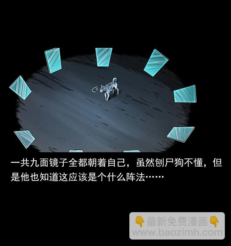 幽冥詭匠 - 251 刨屍狗遇險(2/2) - 7