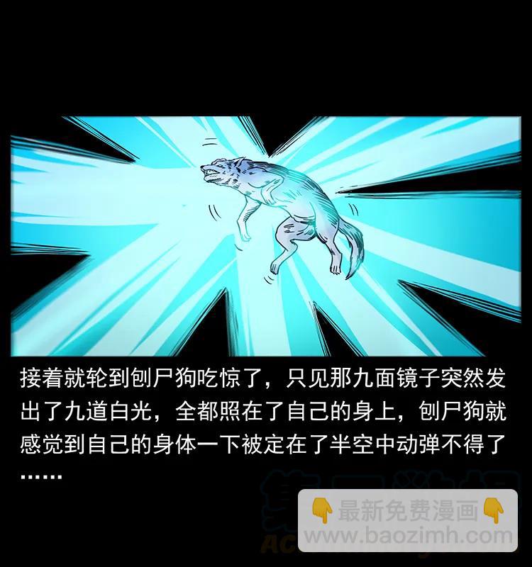 幽冥詭匠 - 251 刨屍狗遇險(2/2) - 3