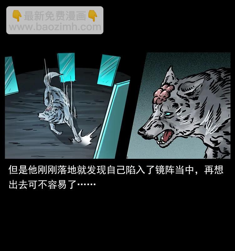 幽冥詭匠 - 251 刨屍狗遇險(2/2) - 5