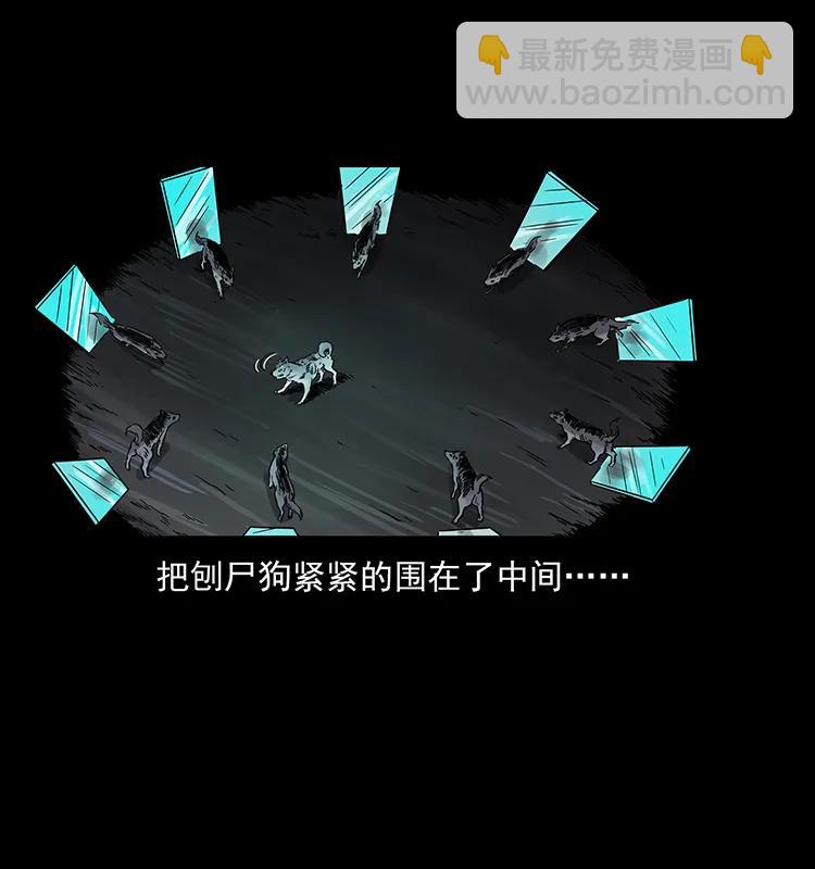 幽冥詭匠 - 251 刨屍狗遇險(2/2) - 3