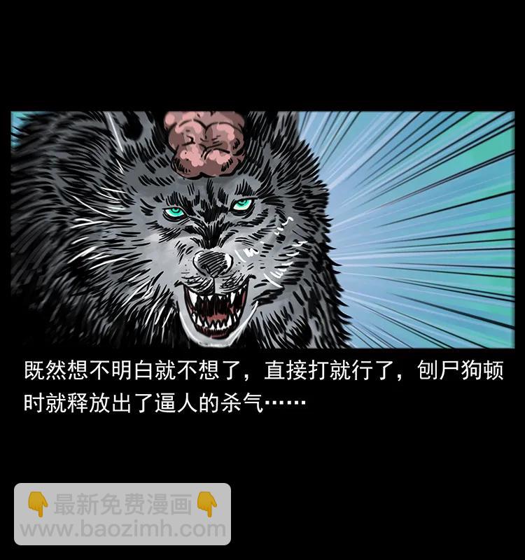 幽冥詭匠 - 251 刨屍狗遇險(2/2) - 6